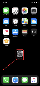 iphone Settings icon