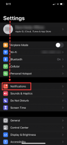iPhone Settings screen notifications highlighted