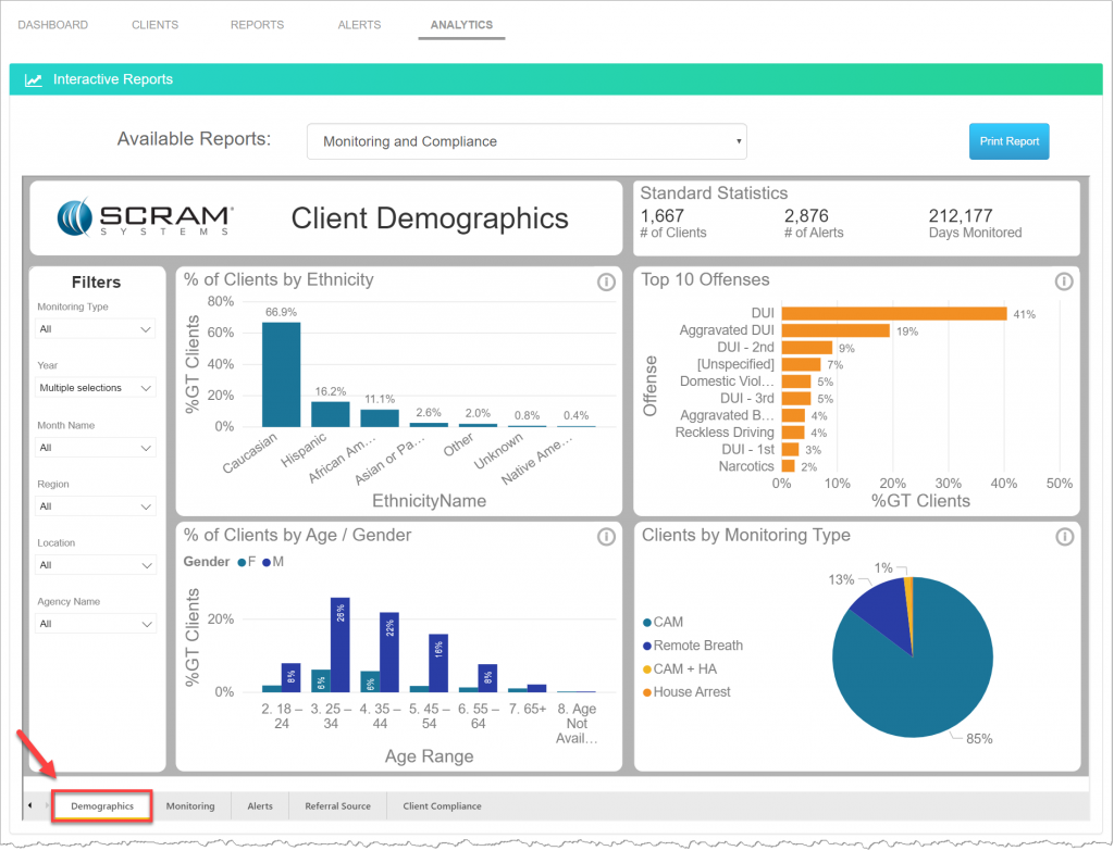 Analytics Monitoring and Compliance Reports - Demographics