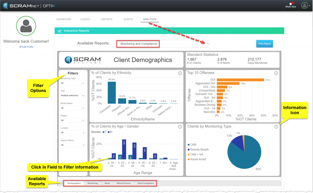 Analytics Monitoring and Compliance Reports - Demographics with navigation highlights