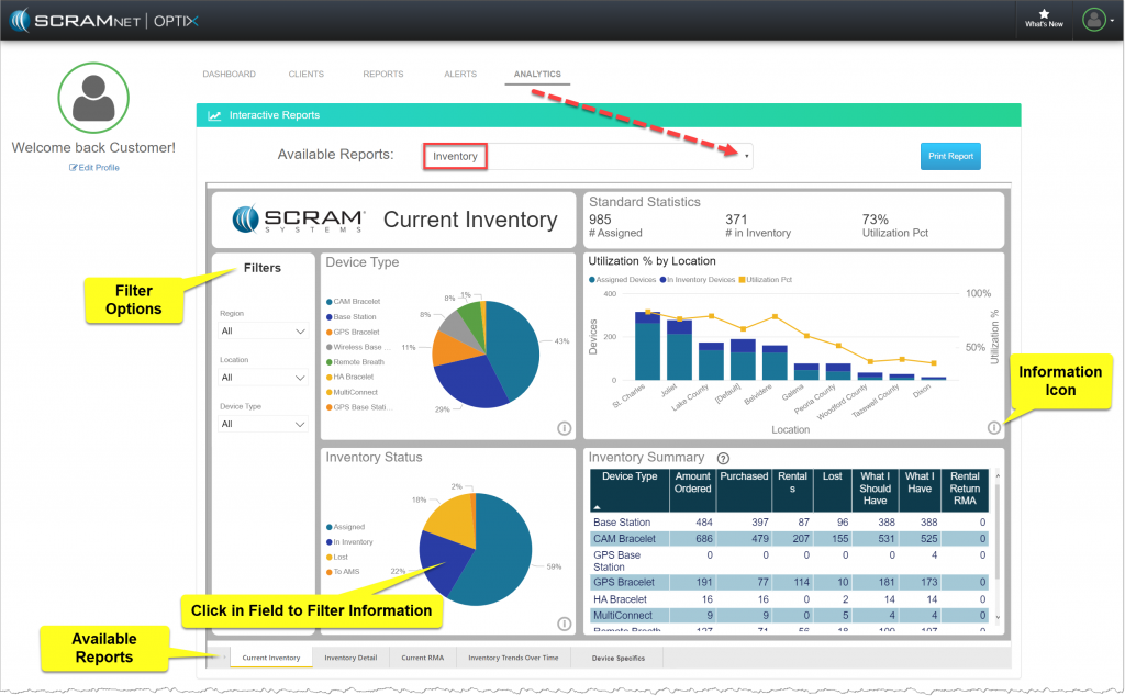 Analytics Inventory Report-main report with navigation highlights