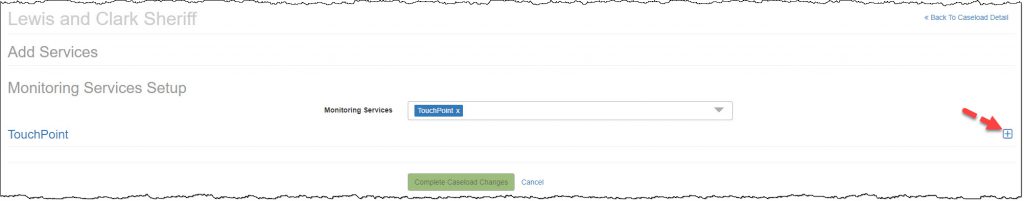 Caseload Detail page